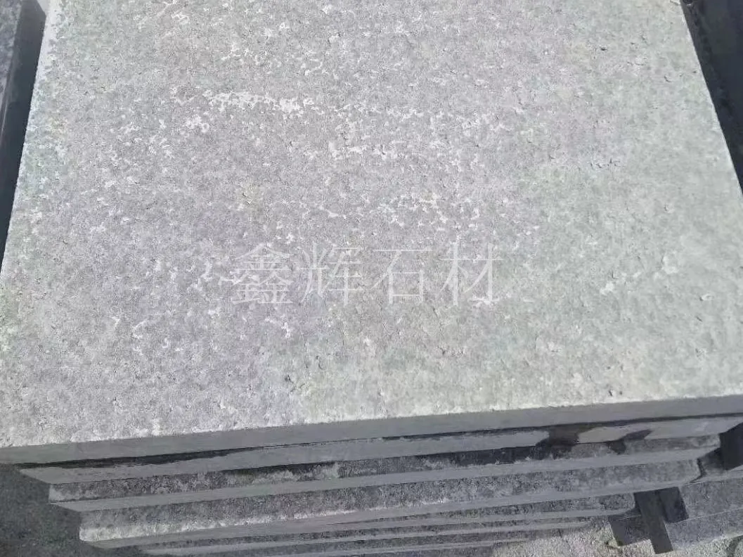 1743501416898.jpg